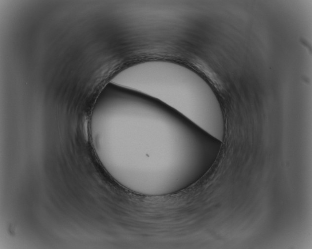 X0000091990022200709061229