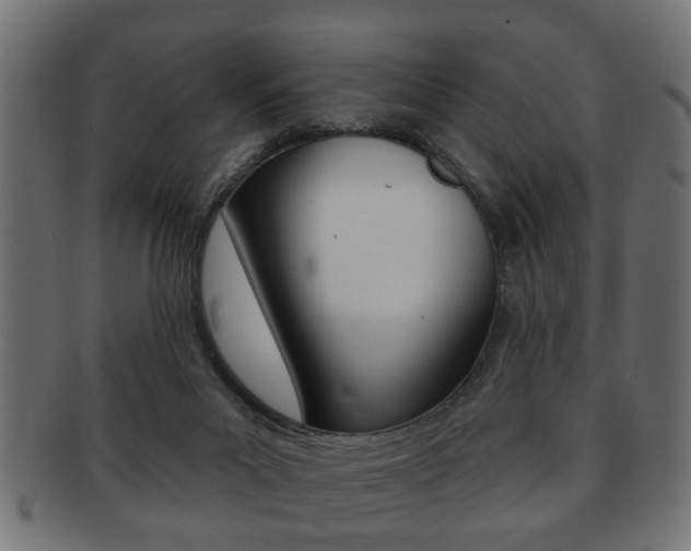X0000091990023200709061229