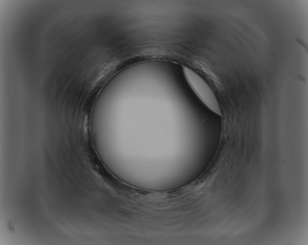 X0000091990024200709061229