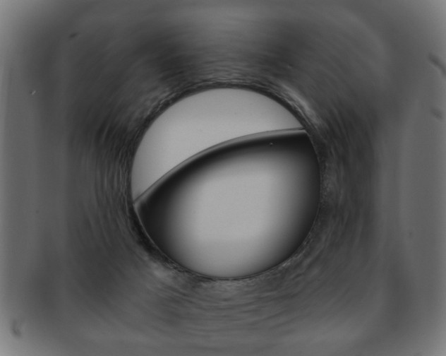 X0000091990025200709061229