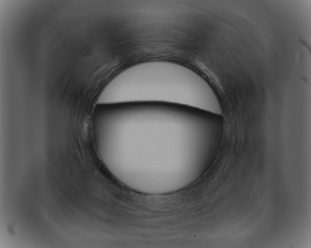X0000091990026200709061229