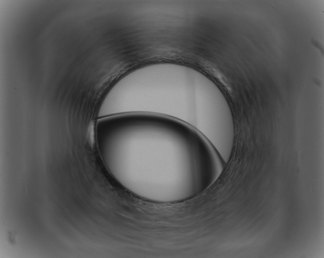 X0000091990027200709061229