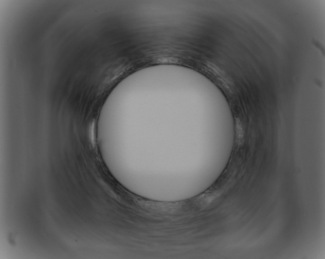 X0000091990028200709061229