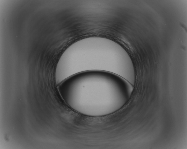 X0000091990029200709061229