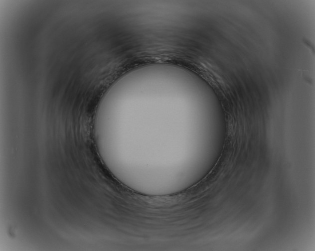 X0000091990030200709061229
