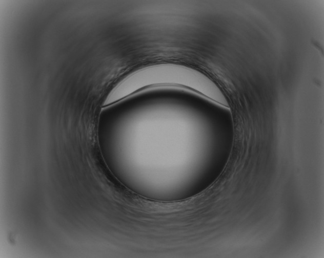 X0000091990031200709061229