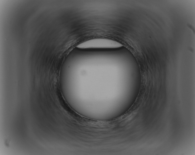X0000091990032200709061229
