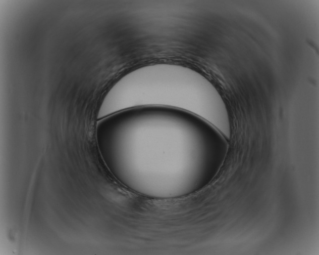 X0000091990033200709061229