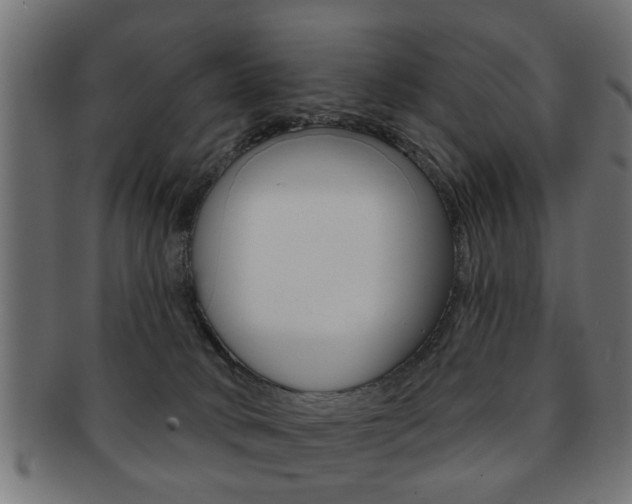 X0000091990034200709061229