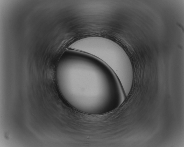 X0000091990035200709061229