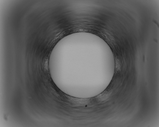 X0000091990036200709061229