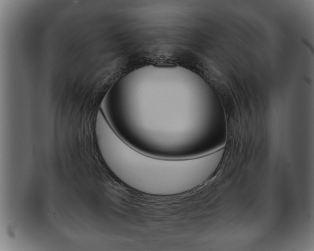 X0000091990037200709061229