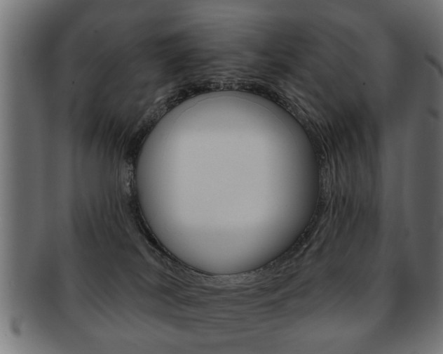 X0000091990038200709061229