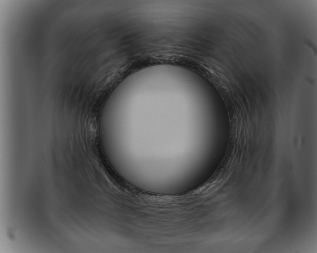 X0000091990040200709061229
