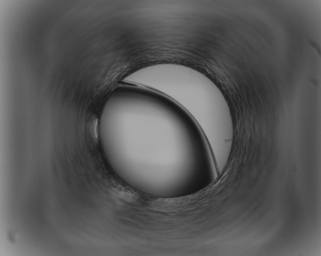 X0000091990041200709061229