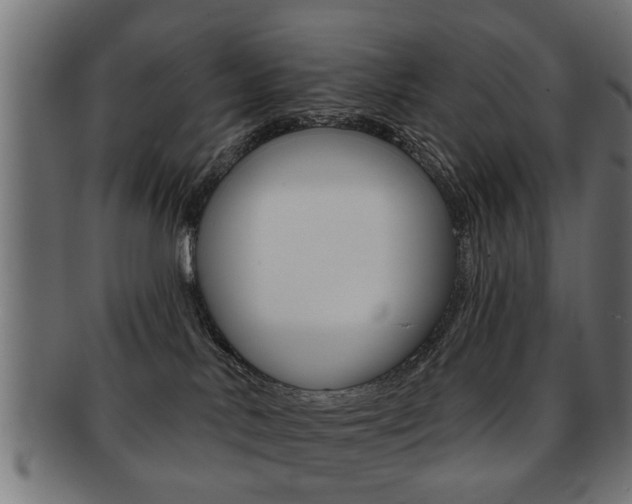 X0000091990042200709061229