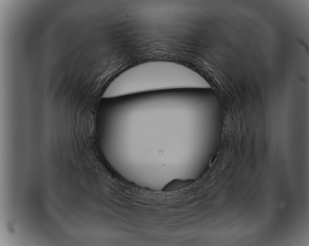 X0000091990043200709061229
