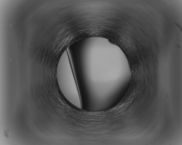 X0000091990044200709061229