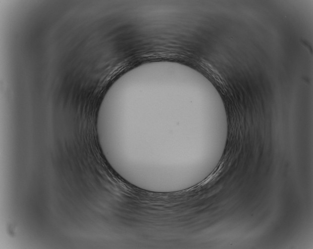 X0000091990045200709061229