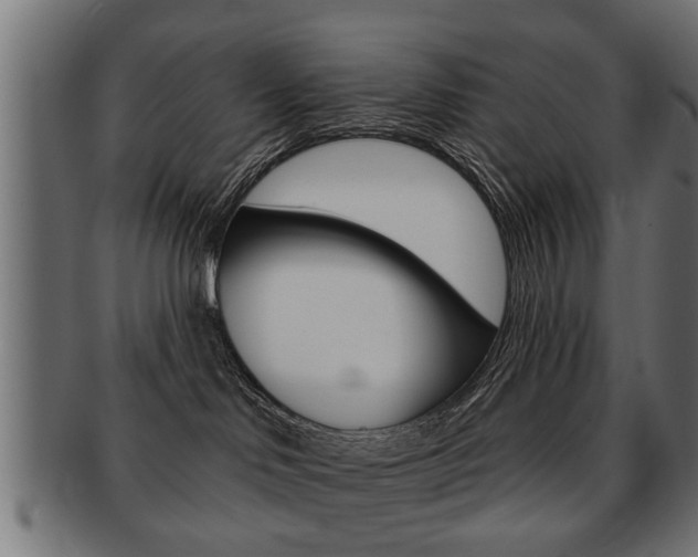 X0000091990046200709061229