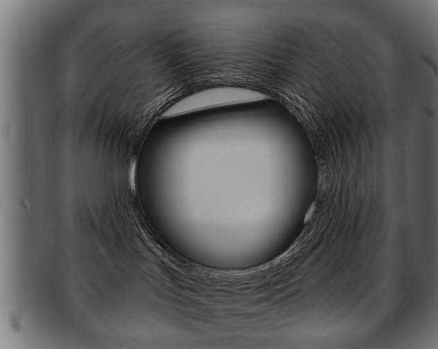 X0000091990047200709061229