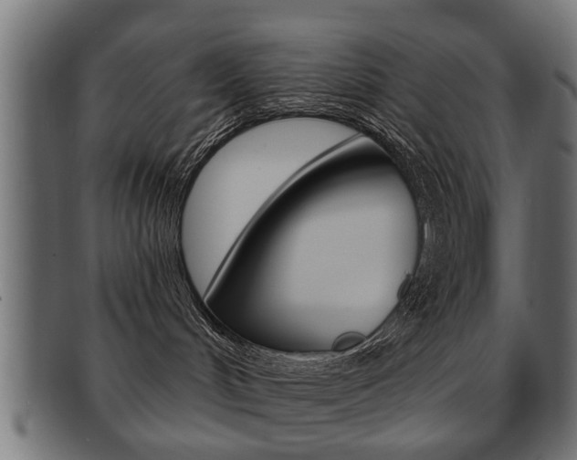 X0000091990048200709061229