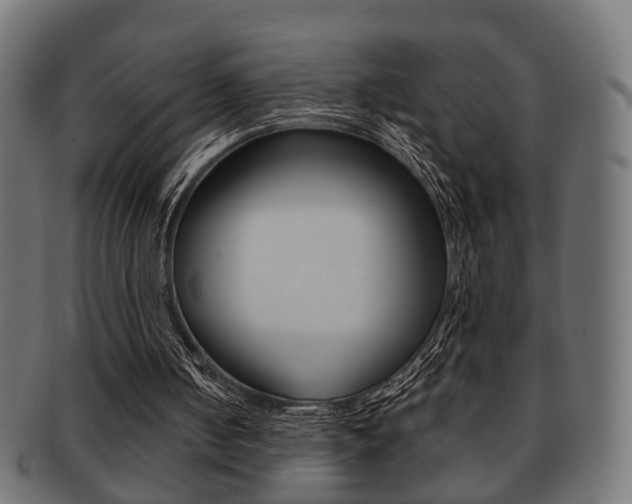 X0000091990050200709061229