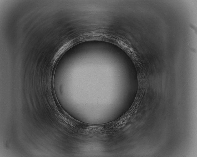 X0000091990051200709061229