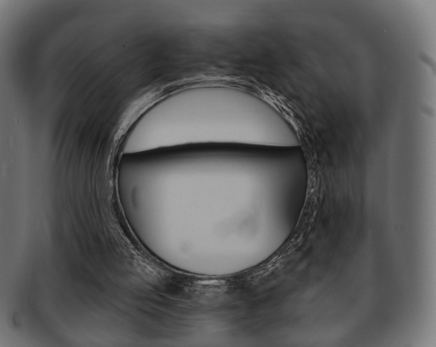 X0000091990053200709061229