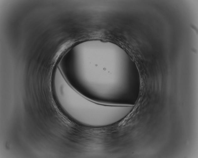 X0000091990054200709061229