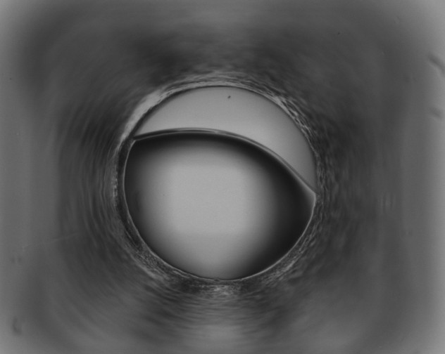 X0000091990056200709061229