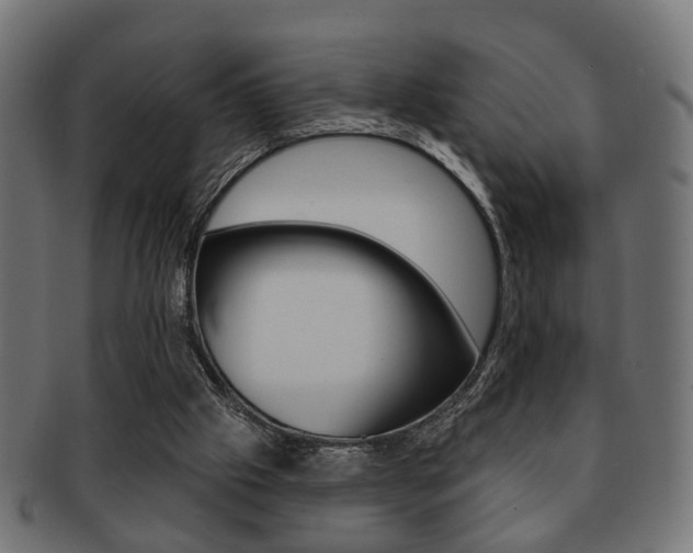 X0000091990057200709061229