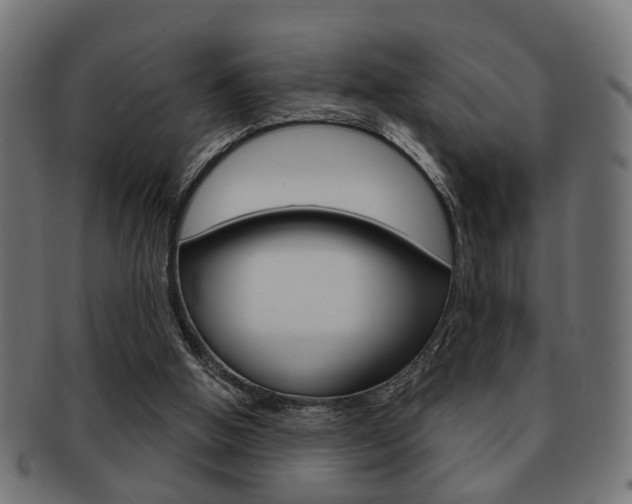 X0000091990058200709061229