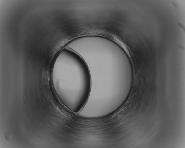 X0000091990059200709061229