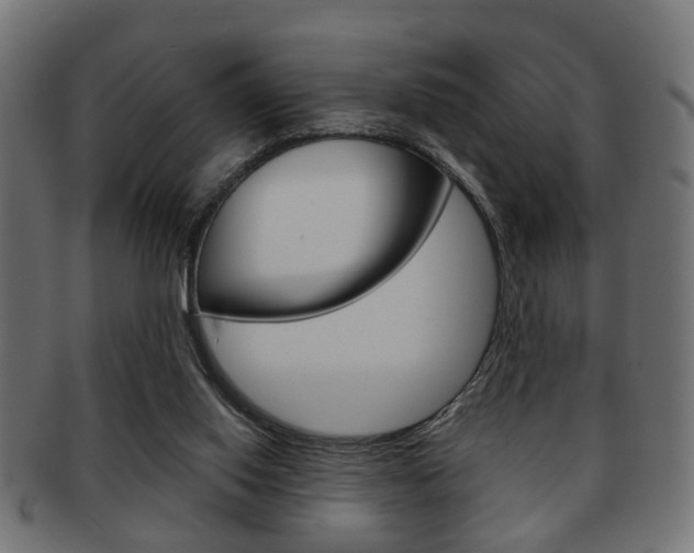 X0000091990062200709061229