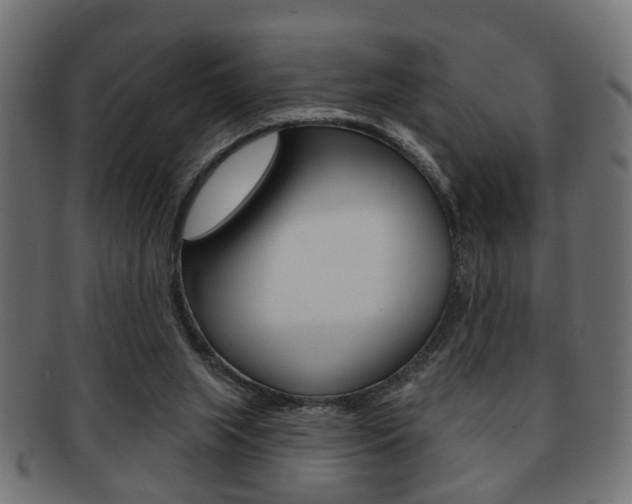 X0000091990063200709061229