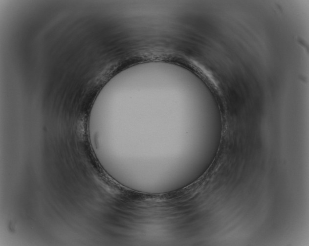 X0000091990065200709061229