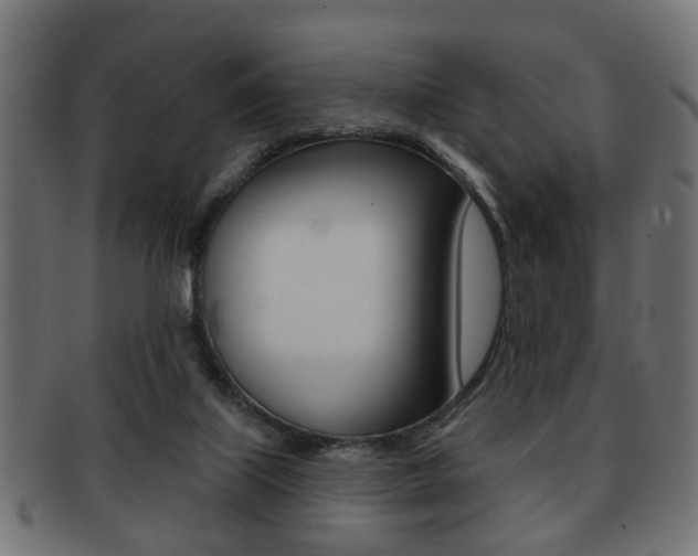 X0000091990067200709061229