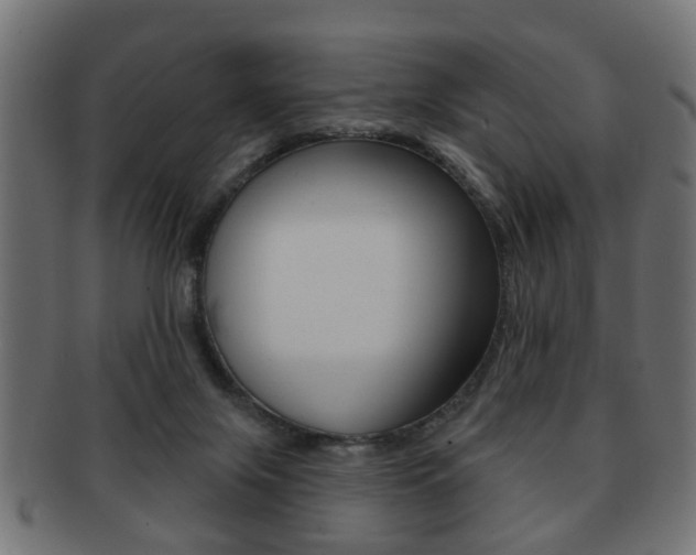 X0000091990071200709061229