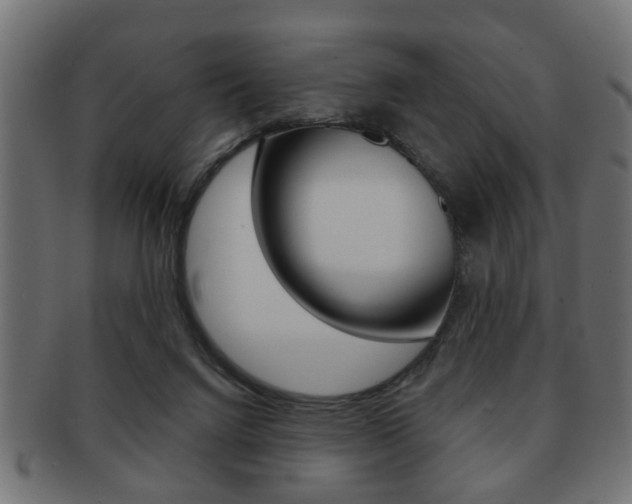 X0000091990072200709061229