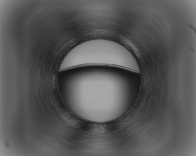 X0000091990073200709061229