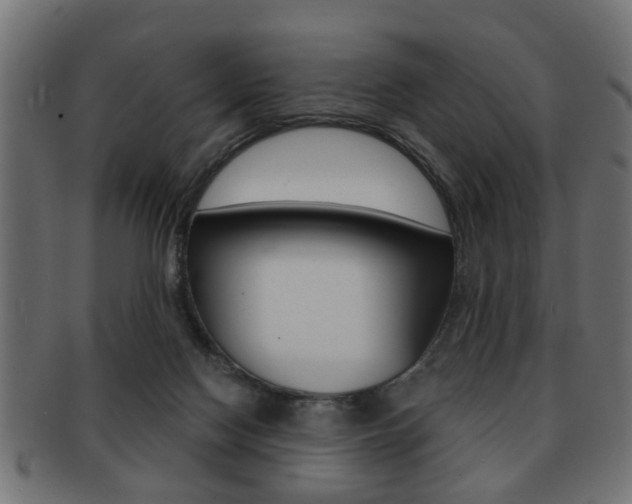 X0000091990074200709061229