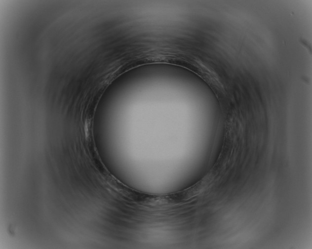 X0000091990075200709061229