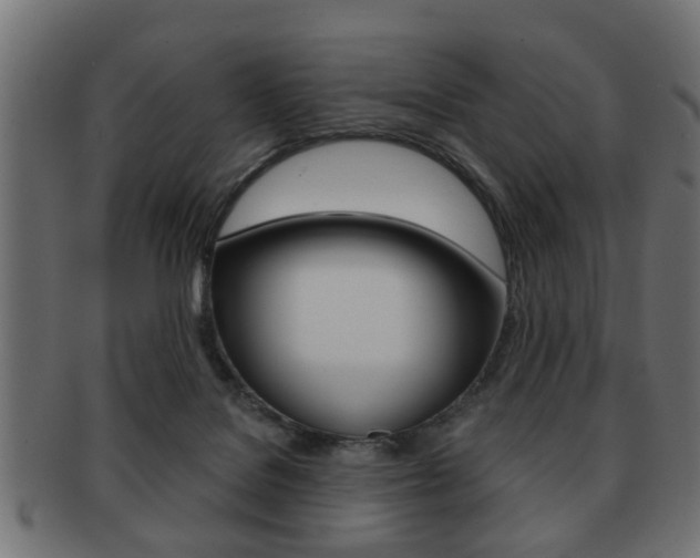 X0000091990076200709061229