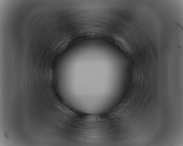 X0000091990077200709061229