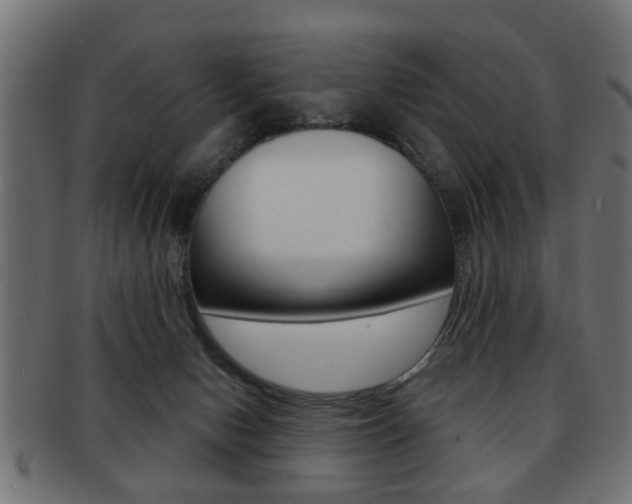 X0000091990078200709061229