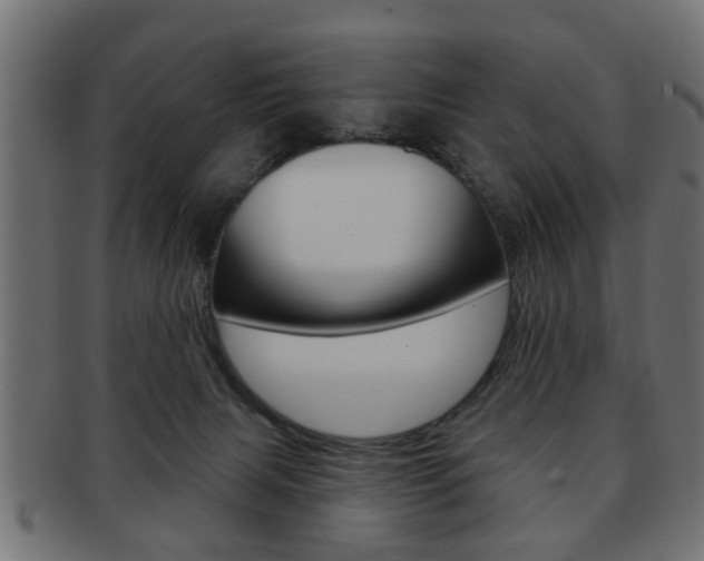 X0000091990079200709061229