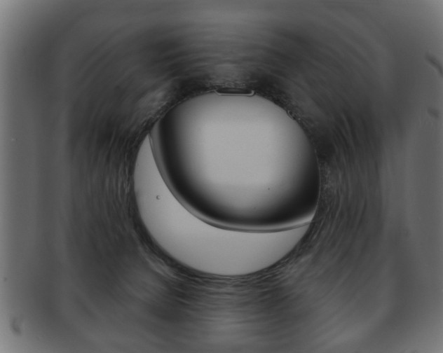 X0000091990080200709061229