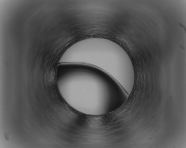 X0000091990081200709061229