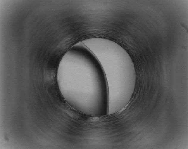 X0000091990082200709061229